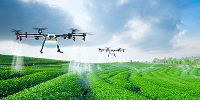 IT SOLUTION ON AGRIBUSINESS Image